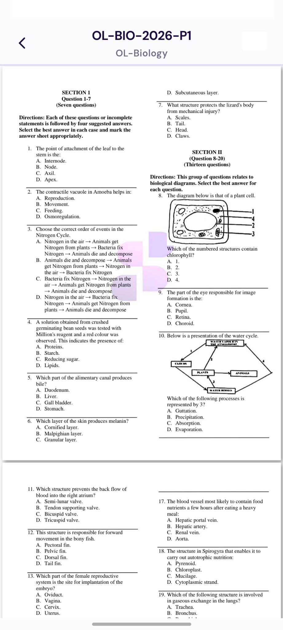 Clean PDF Past Papers