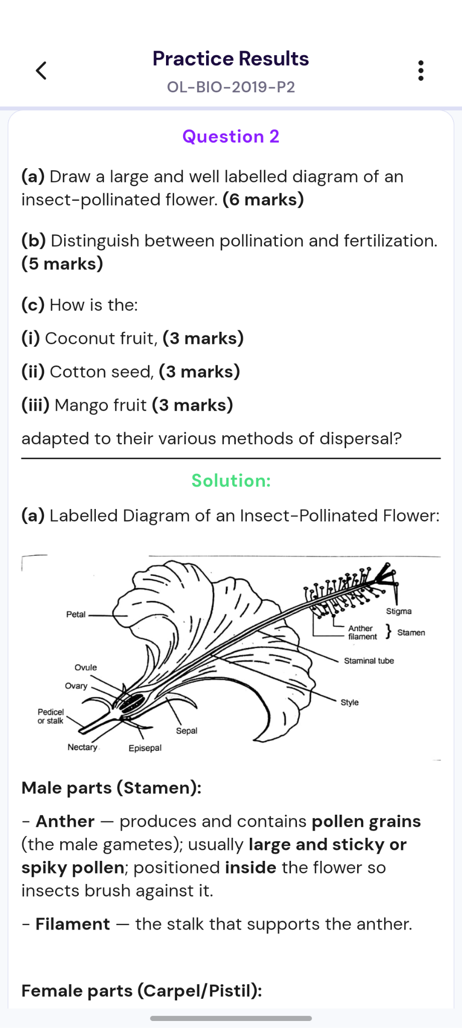 Detailed Solutions and Explanations